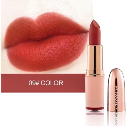 Matte Lipstick Waterproof Long Lasting Nutritious Easy To Color Non Fade Non Stick Cup Smooth High Quality Cosmetics