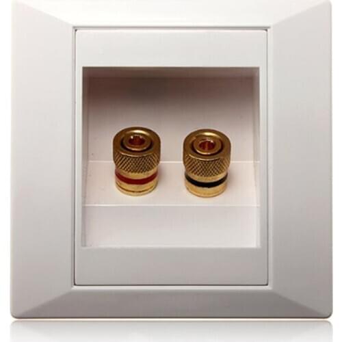 Wall Socket Connection Port with 2 Jack Speaker White