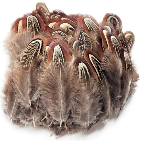 20/100pcs/lot natural Pheasant Feathers diy marabou feathers for jewelry making wedding decoration Clothing Chicken plumas 4-8CM