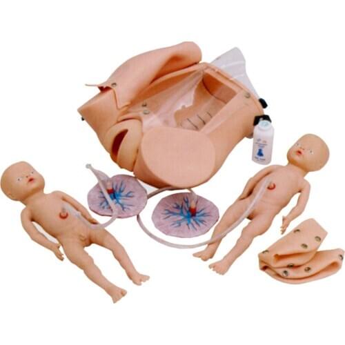 Delivery Mechanism Demonstration Simulator,Childbirth Skills Training Model,Obstetrics Teaching Manikin