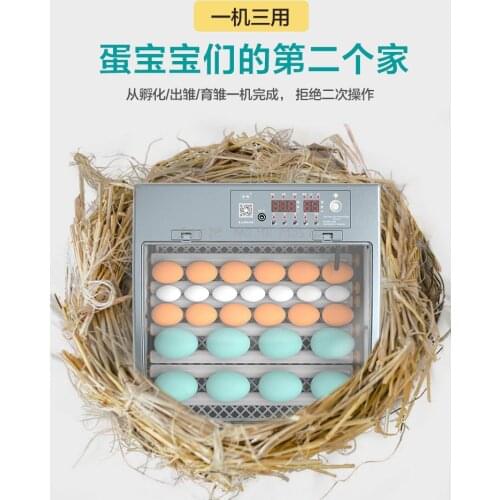 Incubator, Automatic Small Household Incubator, Chicken, Duck And Goose, Mini Intelligent Incubator, Egg Incubator