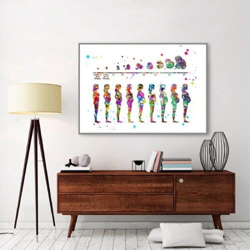 Pregnancy Stages DIY Diamond painting 5D Full mosaic Diamonds Embroidery Fetus Watercolor Art Obstetrician Office Decor EE881