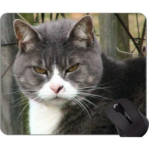 Mouse Pad with Stitched Edge,Tabby Cat grey cat Non-Slip Rubber Base Mousepad
