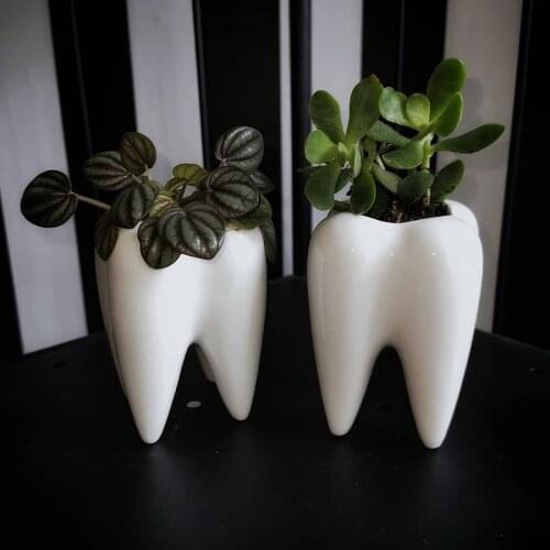 Teeth Shaped Ceramic Planters Pots Desktop White Planters Succulent Planters Pots Pen Holders Container Dentist Gifts Home Decor