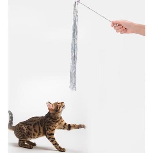 1pc Cat Toys Cat Teaser Wand Cats Interactive Stick With Shining Tassel Plastic Rod Wand Cute Funny Colorful Funny