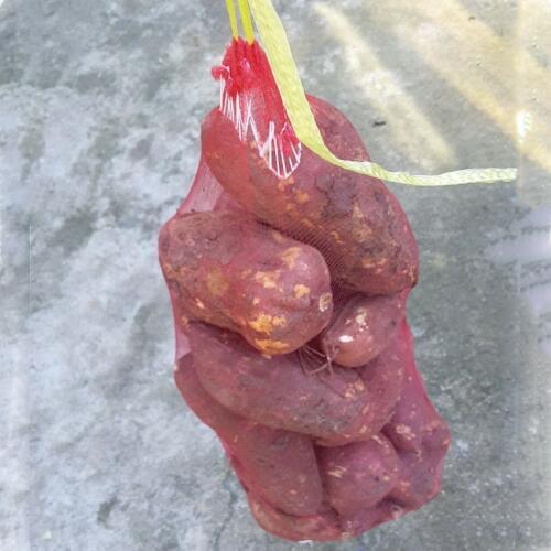 100pcs In/ 20x40cm Sturdy Poly-mesh Net Bags (1x2mm Mesh) For Vegetable, Egg, Corn, Cabbage, Fruits With Ribbon Free Shipping