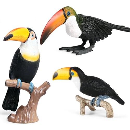 Wild Birds Animals Static Simulation Toucan Toy Animal Model Action Figure Learning Science Education Birds Gifts/Set