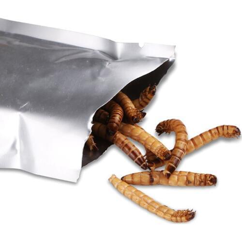 140g Natural Dried Mealworm Food Meal For Feeding Pet Reptile Chickens Wild Garden Bird Aquarium Worm