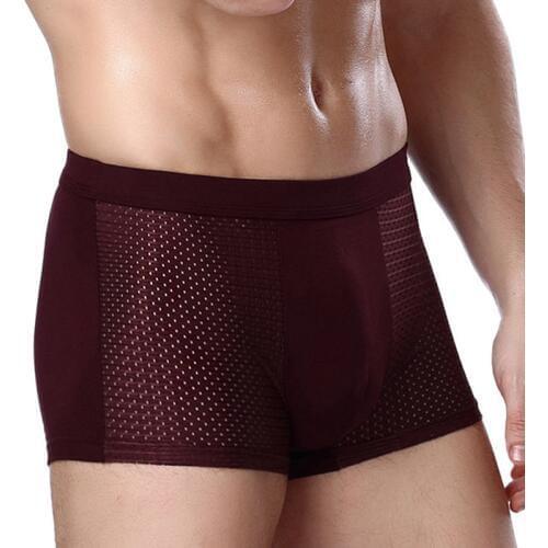 Mens Underwear Ice Silk Quick Dry Comfort Mesh Panties Mens Large Size Breathable Boys Corner Pants Head