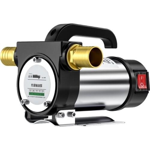 Small Portable Reversible Electric Oil Pump 12V/24V/580W Stainless Steel Diesel/Kerosene Self-Priming Oil Suction Pump