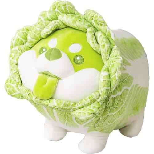 2021 Creative Green and White Chinese Cabbage Dog Plush Toy Soft Cartoon Vegetable Plants Stuffed Doll Comfortable Pillow Gifts