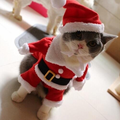 [MPK Cat Costumes] Santa Clause Cat Costume!! Cute Santa! Red Santa Pet Cat Clothes Outfit, Coat Apparel, X-Mas Costume