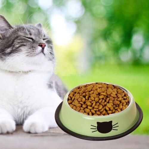 Cat Food Cup Dog Disc Pet Bowl Paint Green Rubber Bottom Ring Antiskid Porcelain Pattern Stainless Steel Thickened Pet Feeder