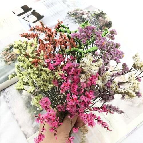 2g Dried Flores Decorativas Wedding Marriage Natural Mini Crystal Grass Party DIY Garland Christmas Decoration Accessories