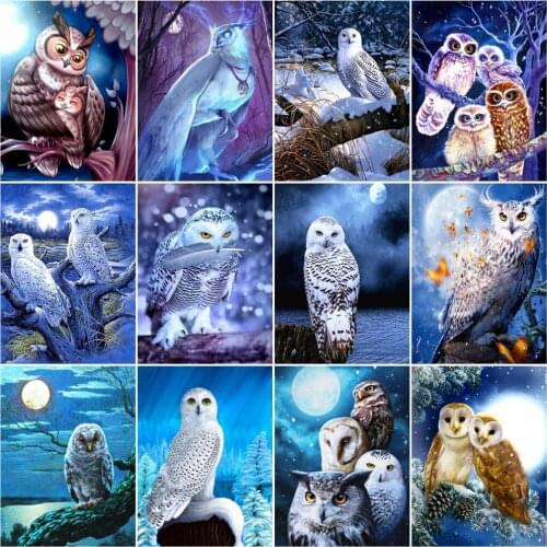 AZQSD Coloring By Number DIY Owl Night Handpainted Oil Painting Gift Paint By Numbers Animal Kkits Modern Wall Art