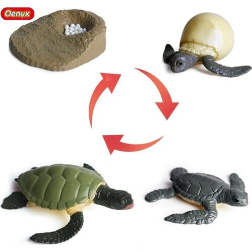 Oenux Lifelike Simulation Sea Life Turtle Growth Cycle Action Figures Marine Animal Tortoise Model PVC Educational Cute Kids Toy