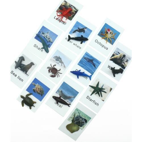 Montessori Marine Animal Cards Baby Language Learning Montessori Materials Educational Toys Juguetes Montessori MC0544H