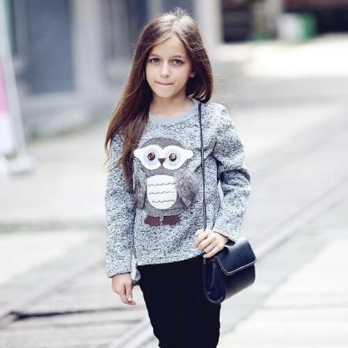 Teenage Girls Sweaters Winter Autumn Girls Long Sleeve Fleece Cartoon Clothes Kids Sweater For Girls 5 6 7 8 9 10 12 13 Years
