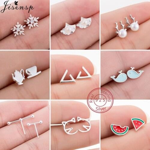 Minimalist Real 925 Sterling Silver Tiny Crystal Snowflake Earrings for Women Cute Whale Watermelon Stud Earring Summer Gift
