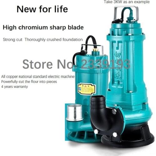 Sewage Pump/220V Small Household Septic Tank Sewage Pump/Agricultural Irrigation High Lift Pump