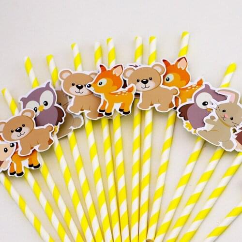 Woodland Animal Birthday Party Supplies Boxes Paper Cups Invitations Favor Bags Bottle Labels Cake Topper Straws Party supplies