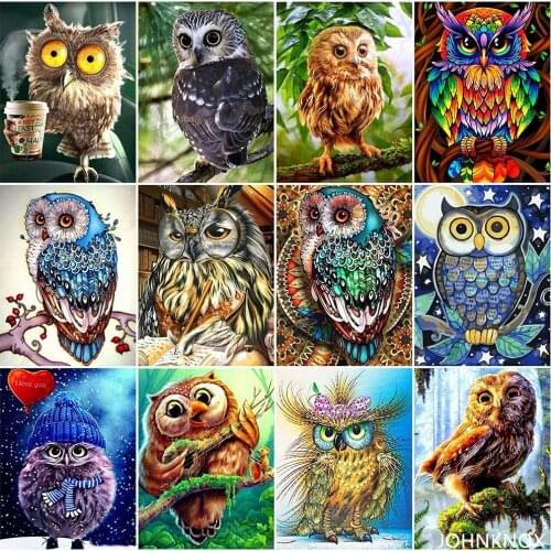 Night Owl Diamond Painting 5D Diy Diamond Embroidery Full Round& Square Drill Diamond Mosaic Cross Stitch Home Decor