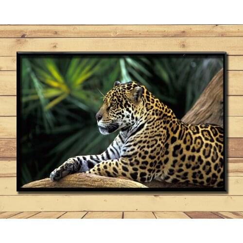 Jaguar Strong And Fast Land Animal (17) Wall Posters Prints Silk Art Painting For Home Wall Bedroom Decor