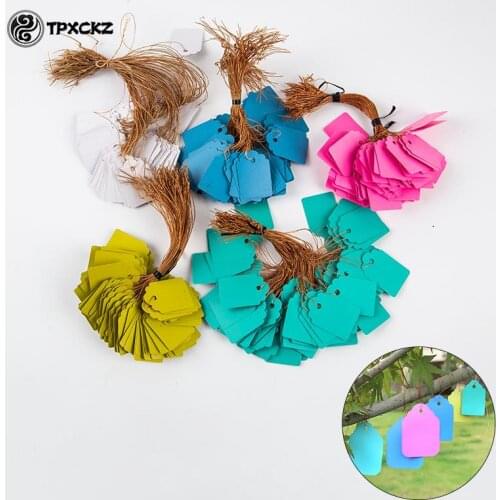 100Pcs/lot Plants Hang Tag Labels Seedling Garden Flower Pot Plastic Tags Number Plate Hanging Reusable PVC Garden Tools 5 Color