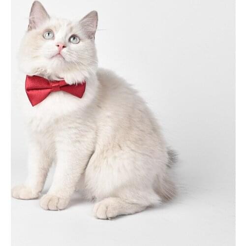 Adjustable Necktie Dog Cat Pet Collar With Bell Kitten Dog Collars