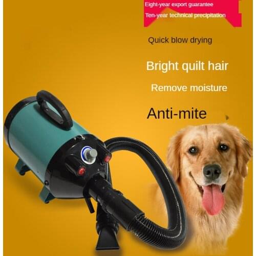 2800W Power Hair Dryer For Dogs Pet Cat Grooming Blower Warm Wind Secador Fast Blow Small Medium