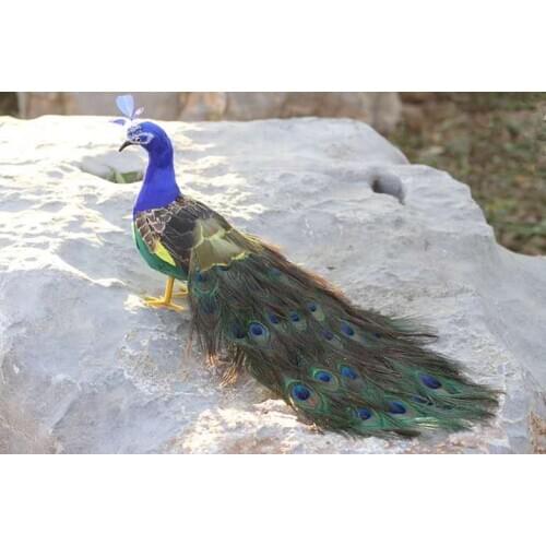 Cute real life peacock model foam&feather simulation peacock bird gift about 60cm xf2900