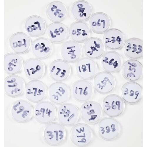 Animal Crossing Card (181 to 210) NFC 215 Card Work for NS Games Series 1