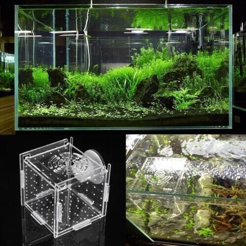 New Aquarium Acrylic Fish Bowls Tank Breeding Isolation Box With Sucker For Baby Fish Hatchery Rooms Incubator Reptile Cage