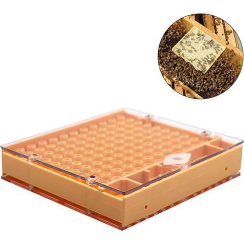 Beekeeping Tools No Moving Insect Cell Cups Queen Rearing Systerm High Quality Bee Catcher Cage Beekeeping Tool Equipment 2018 n