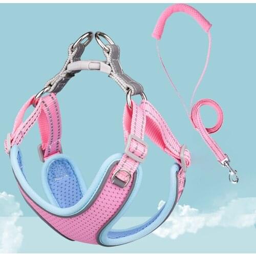 AESOPET Products For Dogs