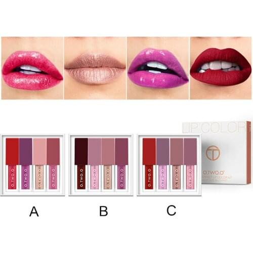 Liquid Lipstick Set Lips Makeup Cosmetics Quick Dry Long-lasting Moisturizer Easy To Wear Matte Lip Stick Lipgloss