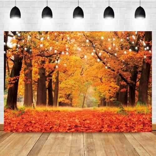 Laeacco Autumn Forest Landscape Birthday Wedding Photocall Photography Backdrop Photographic Background For Photo Studio