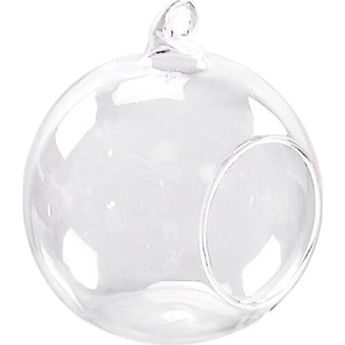 Ing Glass Flower Vase Bottle Hydroponic Terrarium Container Decor