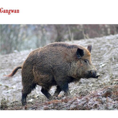 Diamond embroidery Wild boar full square round Diamond Painting Cross Stitch scenery Diamond puzzle Rhinestone Home Decoration