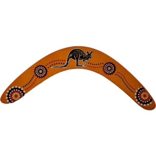 New Throwback V Shaped Boome rang Flying Disc Throw Catch Outdoor Game Professional Wooden