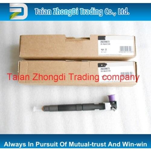 100% Genuine and new Common rail injector 28229873 for 33800-4A710 338004A710