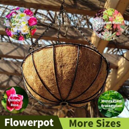 Succulents Plants Coconut Hanging Planter Plant Stand Pastoral Wall Garden Flowerpot Balcony Decorations Pots Garden Accessories