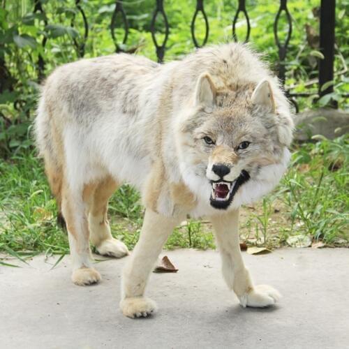 ZILIN Realistic wolf / handmade and vivid ideal home decoration 110*65 cm