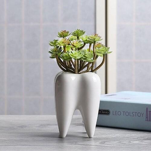 White Porcelain Tooth Model Ceramic Flower Pot Home Office Decor Miniature Model Succulent Pot For Plants Desktop Balcony Decors