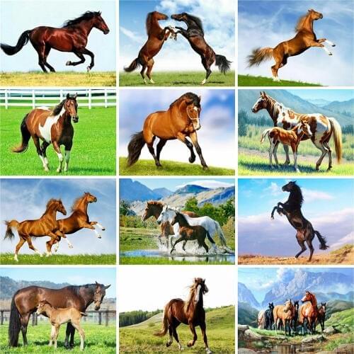 Evershine 5D DIY Diamond Painting Horse Mosaic Diamond Embroidery Cross Stitch Animals Picture Of Rhinestones Home Decor Gift