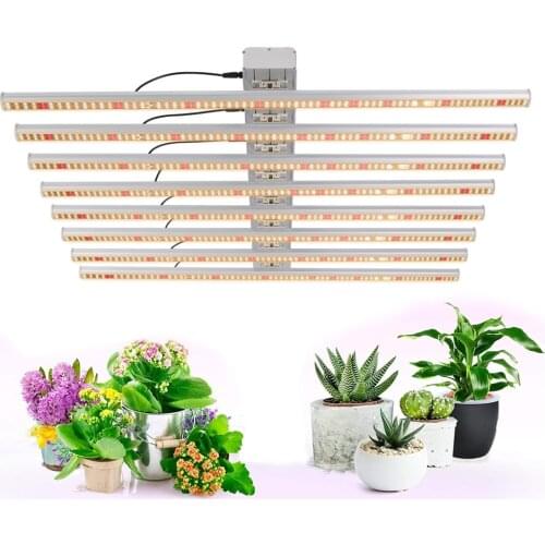 Berix Phytolamps For Plants