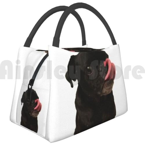 Portable Insulation Bag Did Someone Say Treat ? ItS Rally The Pug! Dog Pug Pugs Dogs Cute Black Pug Funny