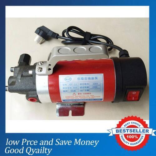 Hot Sale Electric Oil Pump 220V 2.5L/min Hydraulic oil Gear Oil Transfer Pump