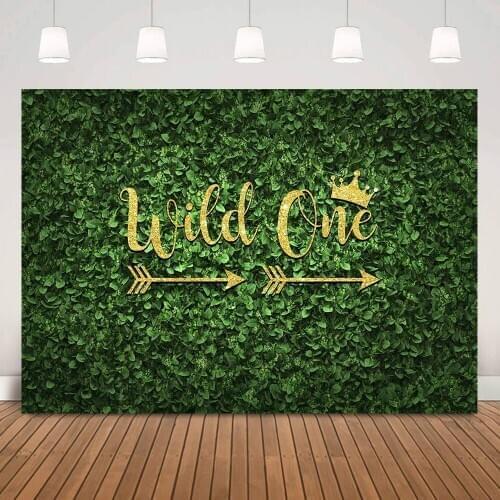 Wild One Birthday Cake Smash Backdrop Safari Party Decor Spring Jungle Green Grass Children Birthday Background Photo Studio