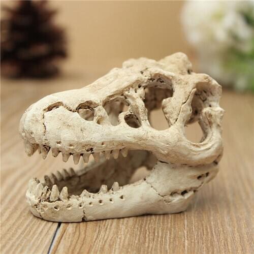 1 Pcs Dragon Resin Aquarium/Terrarium Decoration Crocodile Skull For Fish Tank Ornament Decorate Your Aquarium